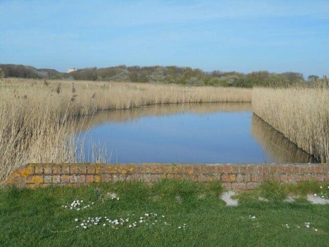 Caravan Aan Zee Arnani มิดเดิลแกร์เกอ ภายนอก รูปภาพ