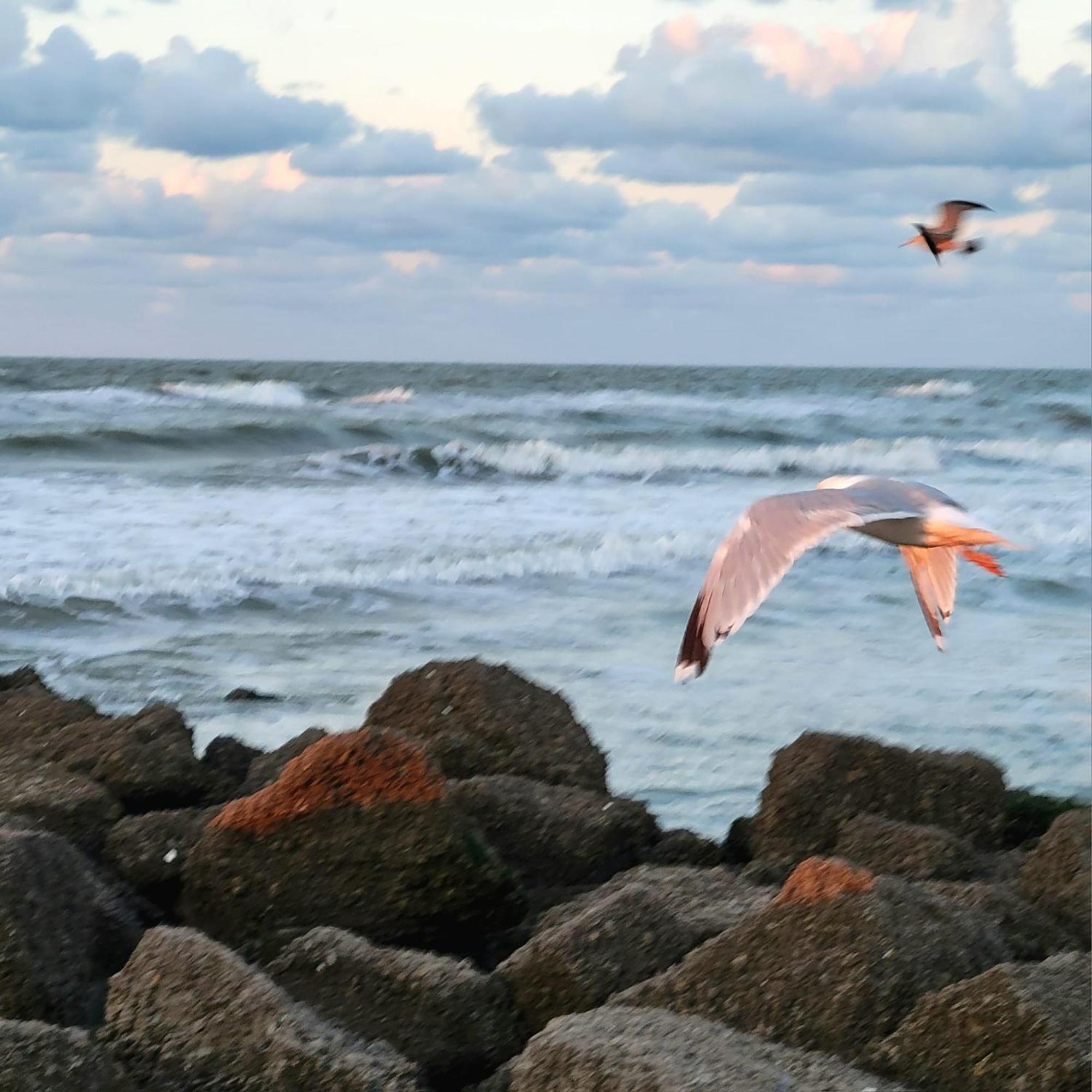 Caravan Aan Zee Arnani มิดเดิลแกร์เกอ ภายนอก รูปภาพ